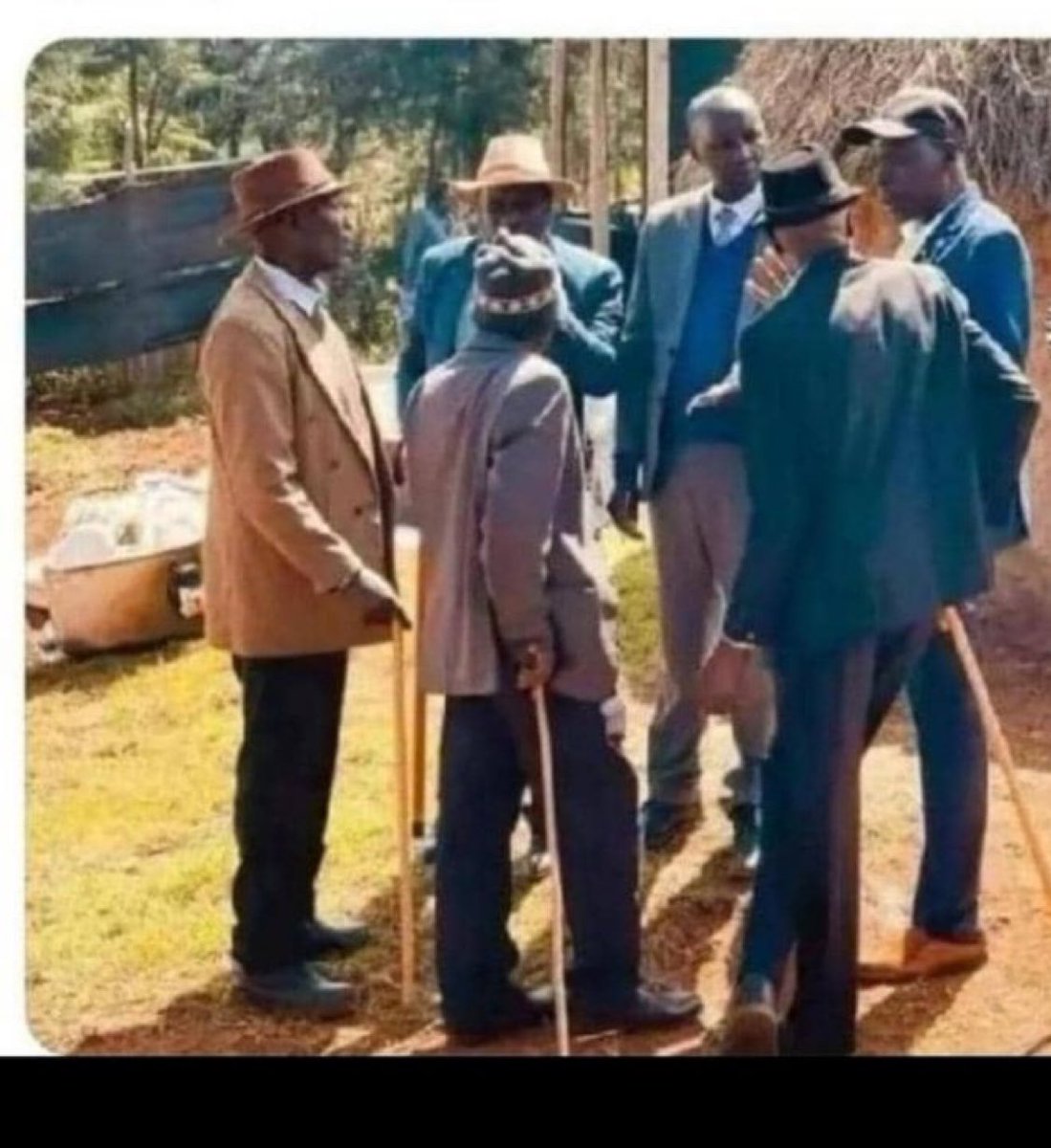 If they exceed 10 Cows..Tuze Kushwera omuganda😎