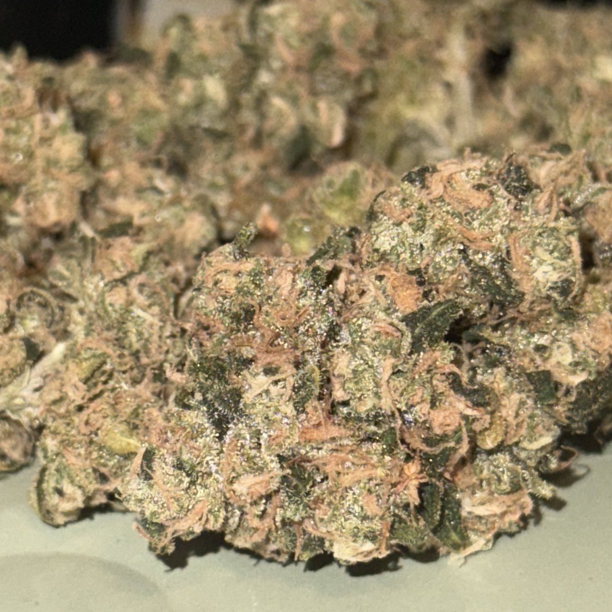 JeuGreen's tweet image. bout to roll up my last jar of the PINK DIRT.
RESPECT THE GROWER 🪴🪴