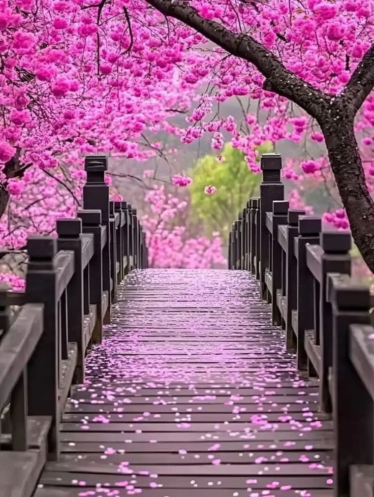 World like paradise (@magical__views7) on Twitter photo 