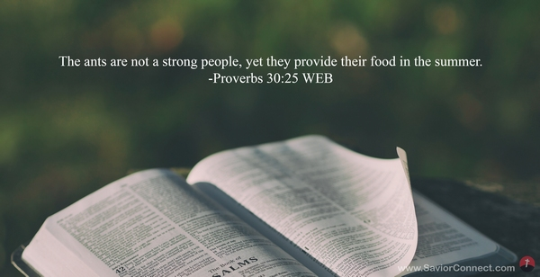 Our Heavenly Father, we ask You to bless us and our finances. Please give us wisdom and self-control, and help us to be good stewards of the blessings You bestow on us. Amen.