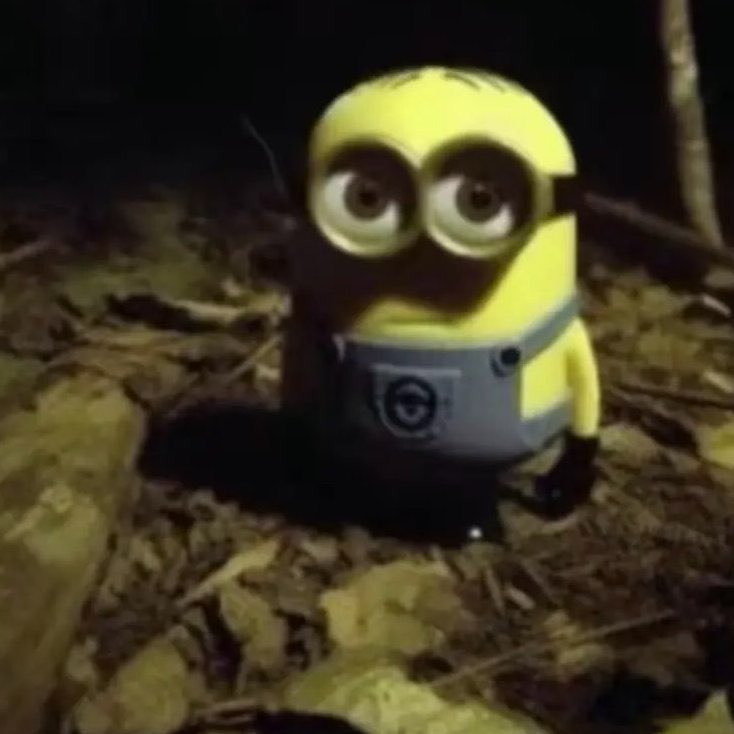 bleachtay's tweet image. yo viendo su cara después de que me volví demente intentando entender qué me faltó, vomité de ansiedad, lloré una semana entera, regrese al gym, fui a terapia y para acabarla de cagar me puse a escuchar un montón a esa banda