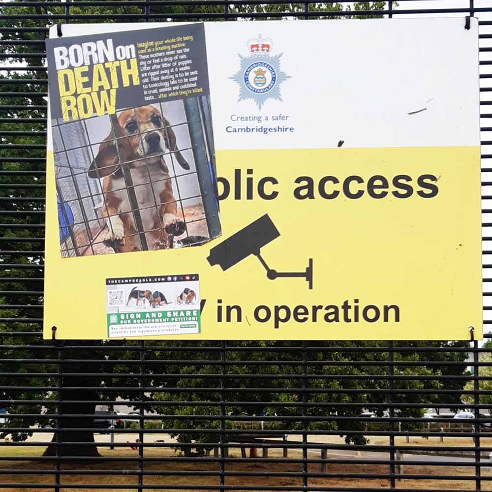 RealMediaGB's tweet image. Cambridgeshire police under fire for abuse of Community Protection Order legislation
 
After MBR Acres failed to silence protests by legal injunction, Cambridgeshire police face a challenge over their unprecedented use of Community Protection Orders against animal rights…