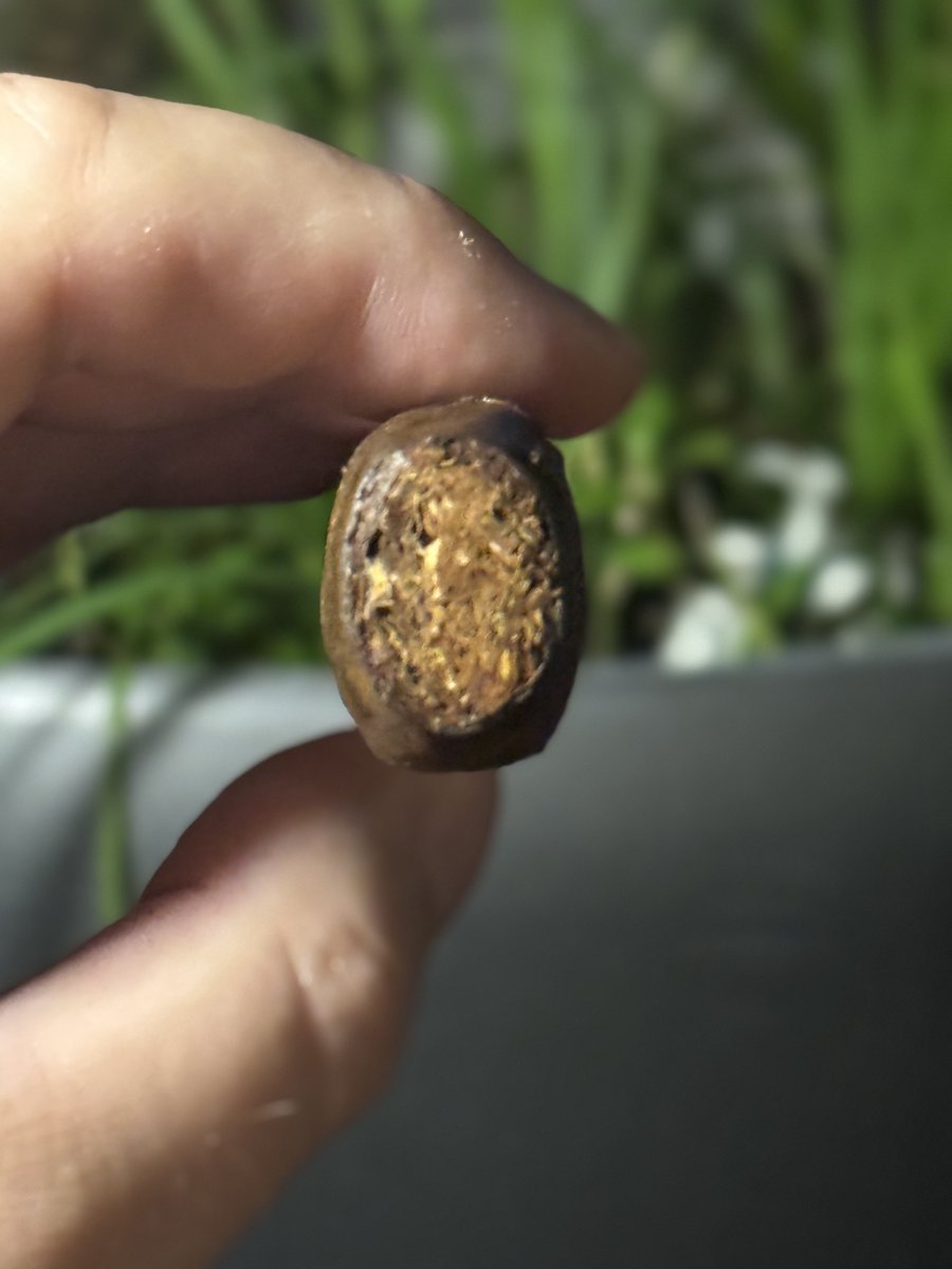 Открыл для себя Cezar Bronner Cabinet Selection Belicoso: премиальная доминиканка с мексиканским покровом San Andres, box-pressed. Вкус — сладкое какао и орехи, но форма не зашла: неудобно держать, “сквозит”. В остальном — достойно! #Сигары #CezarBronner