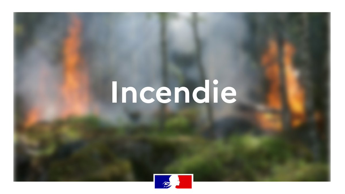 🚨 #Incendie en cours – secteur Villedaigne / Bizanet 🚨

Plusieurs départs de feu sont actifs entre Villedaigne et Bizanet.

🔥 Gros moyens terrestres et aériens engagés

🚫La route départementale 24 est actuellement fermée pour permettre l'intervention des secours

Le Préfet