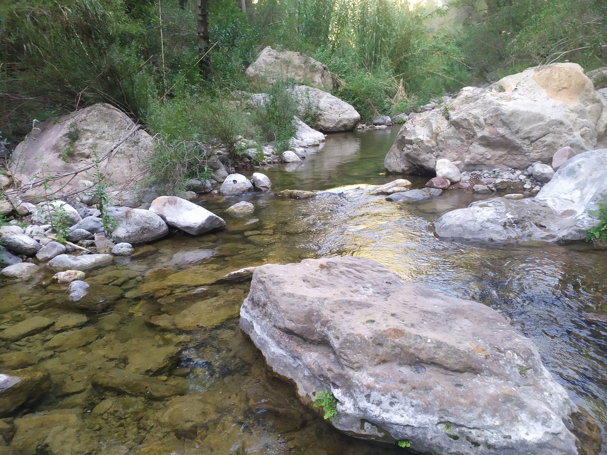 Hui tornem a este riuet, a la Serra d'Espadà.
Un dels nostres preferits a causa del seu complicat accés.