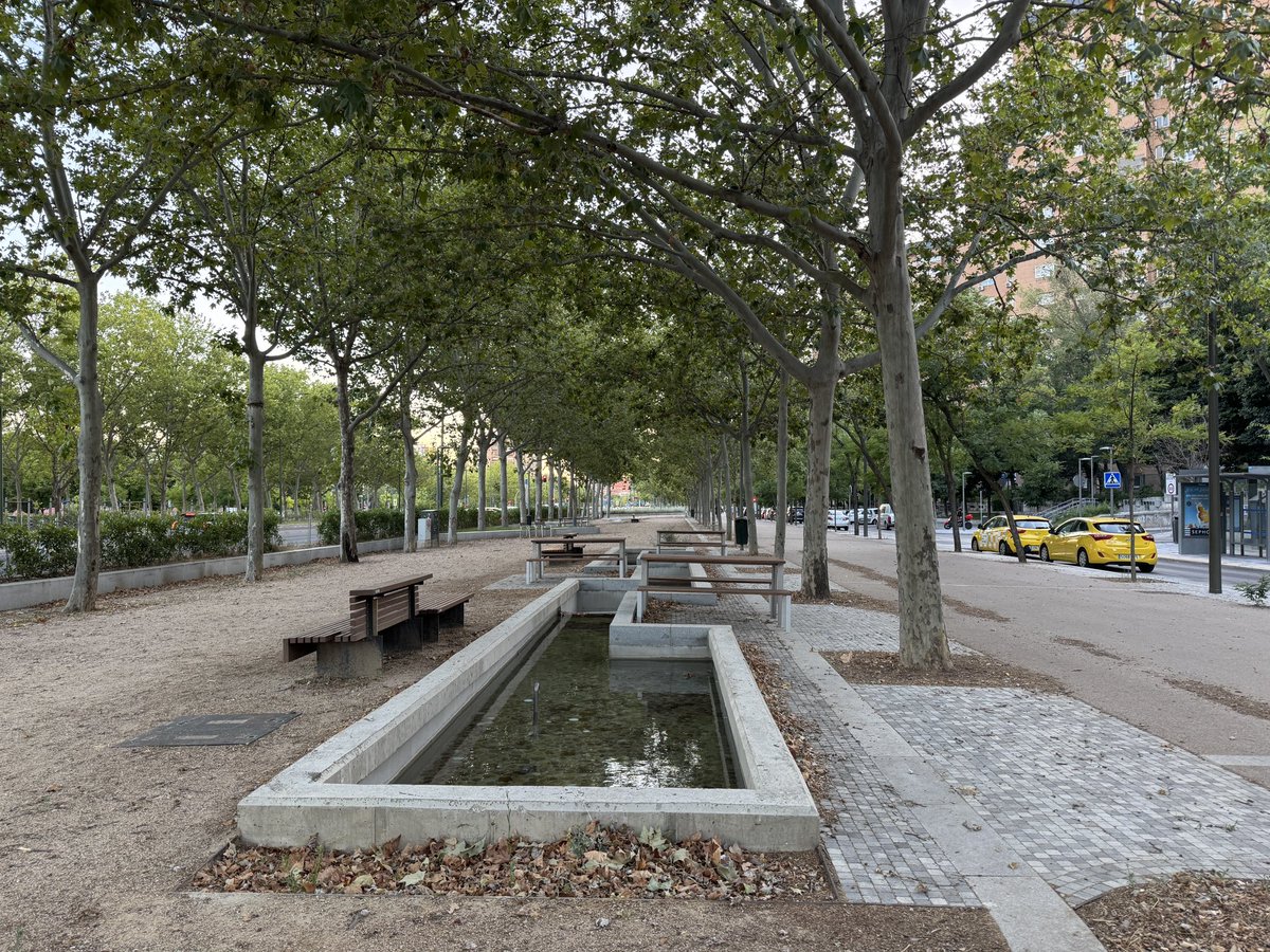 ¿De qué sirve gastarse casi 17 millones de euros en acondicionar la Avenida de la Ilustración, si después no sois capaces de mantenerlo mínimamente? <a href="/MADRID/">Ayuntamiento Madrid</a> <a href="/giraldeo/">Antonio Giraldo</a>
