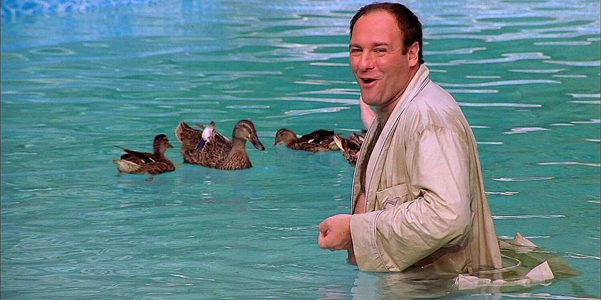🦆