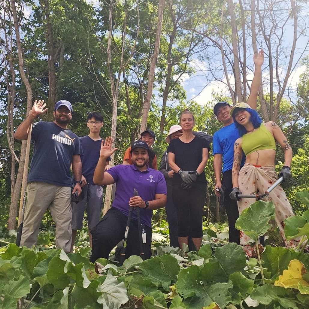 Parc Downsview Park tweet media