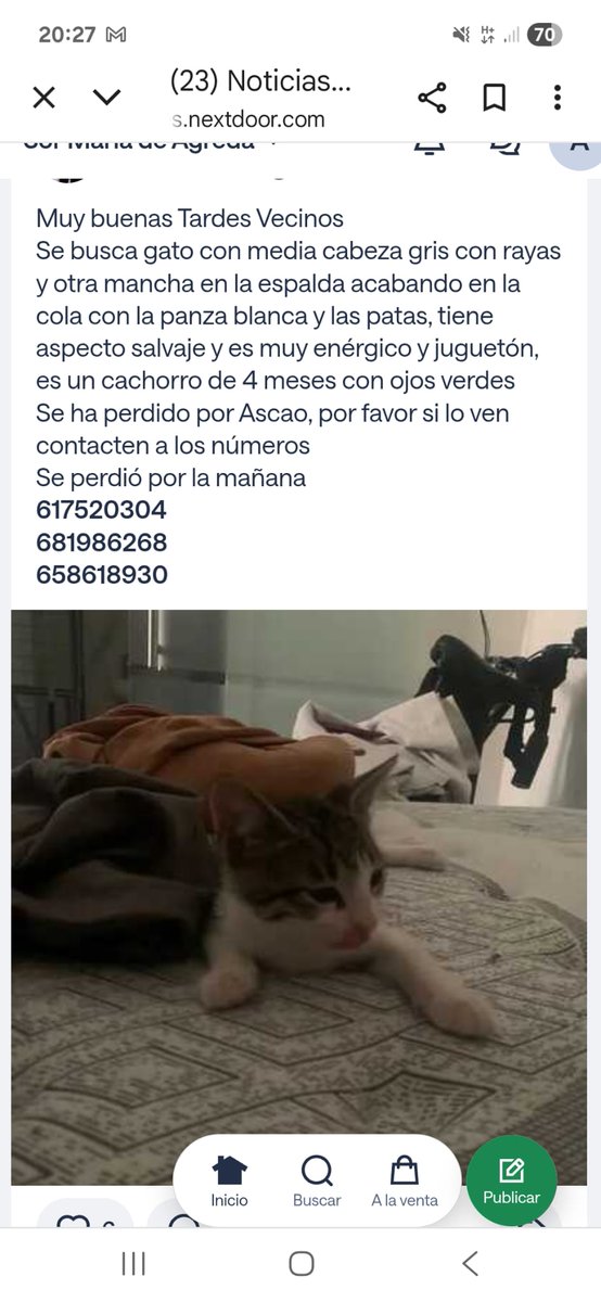 SilviaMylo's tweet image. Ascao, Madrid
Perdido 😢🆘🚨🔊