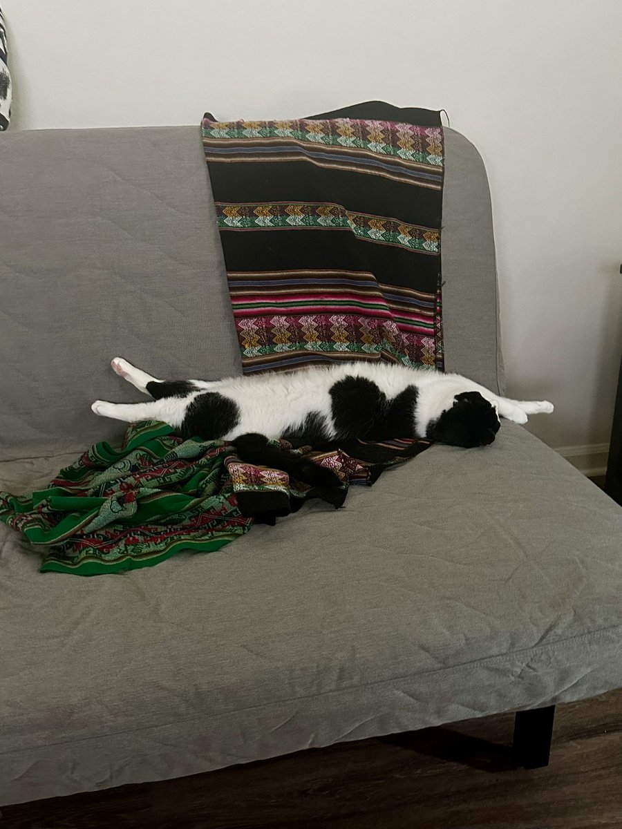 Pauliush76's tweet image. Mi asistente duerme en horas de trabajo