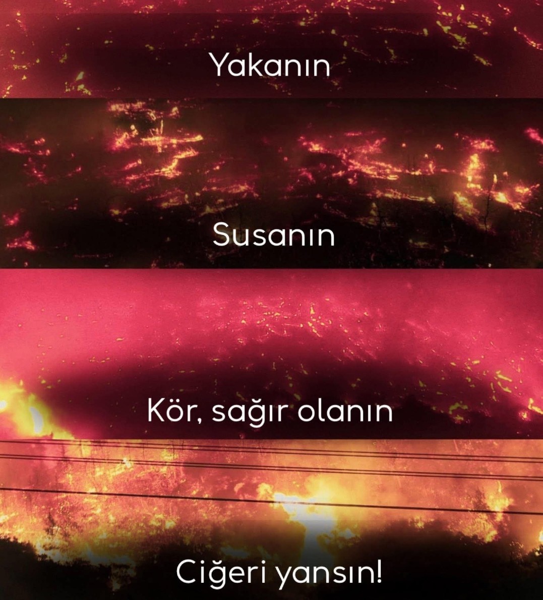 filiz_uyaniker's tweet image. #yangın