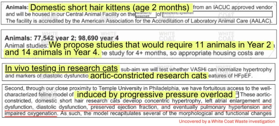 25 kittens
2 months old
4 months of abuse
Killed by having their hearts cut out

Receipts from our new investigation of ongoing <a href="/NIH/">NIH</a>-funded heart failure experiments on cats👇