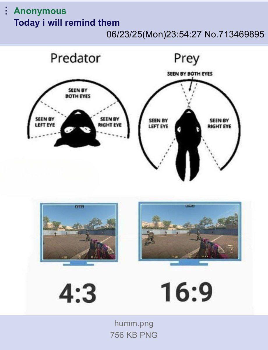 MiladyZuma's tweet image. this is why @wigger puts the Sam Hyde show in 21:9. it activates your prey instinct by giving you a massive field of view, causing you to be more attentive and absorbing the comedy and the truth at the same time with maximum efficiency.
show the sam hyde show to your family