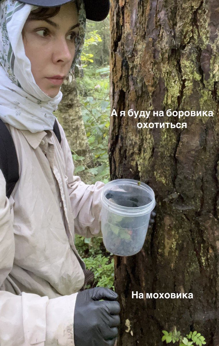 Кобра-чикен tweet media