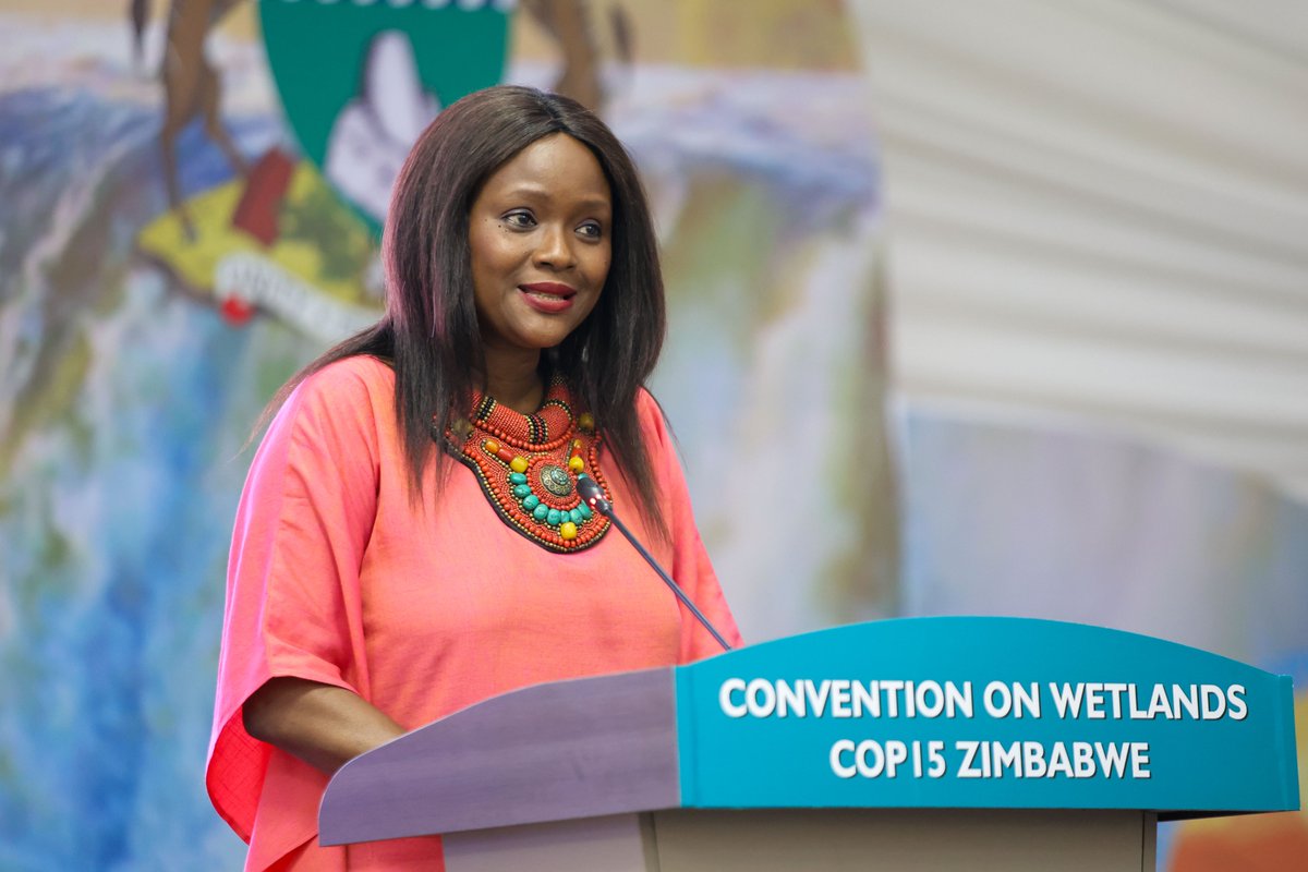 “A bird can change a heart, and a changed heart can change #wetlands.” 

A Ramsar Award winner at #WetlandsCOP15 summed up a day that saw approval of a resolution on waterbird estimates and contact groups progress on the strategic plan, budget and finance

enb.iisd.org/ramsar-convent…