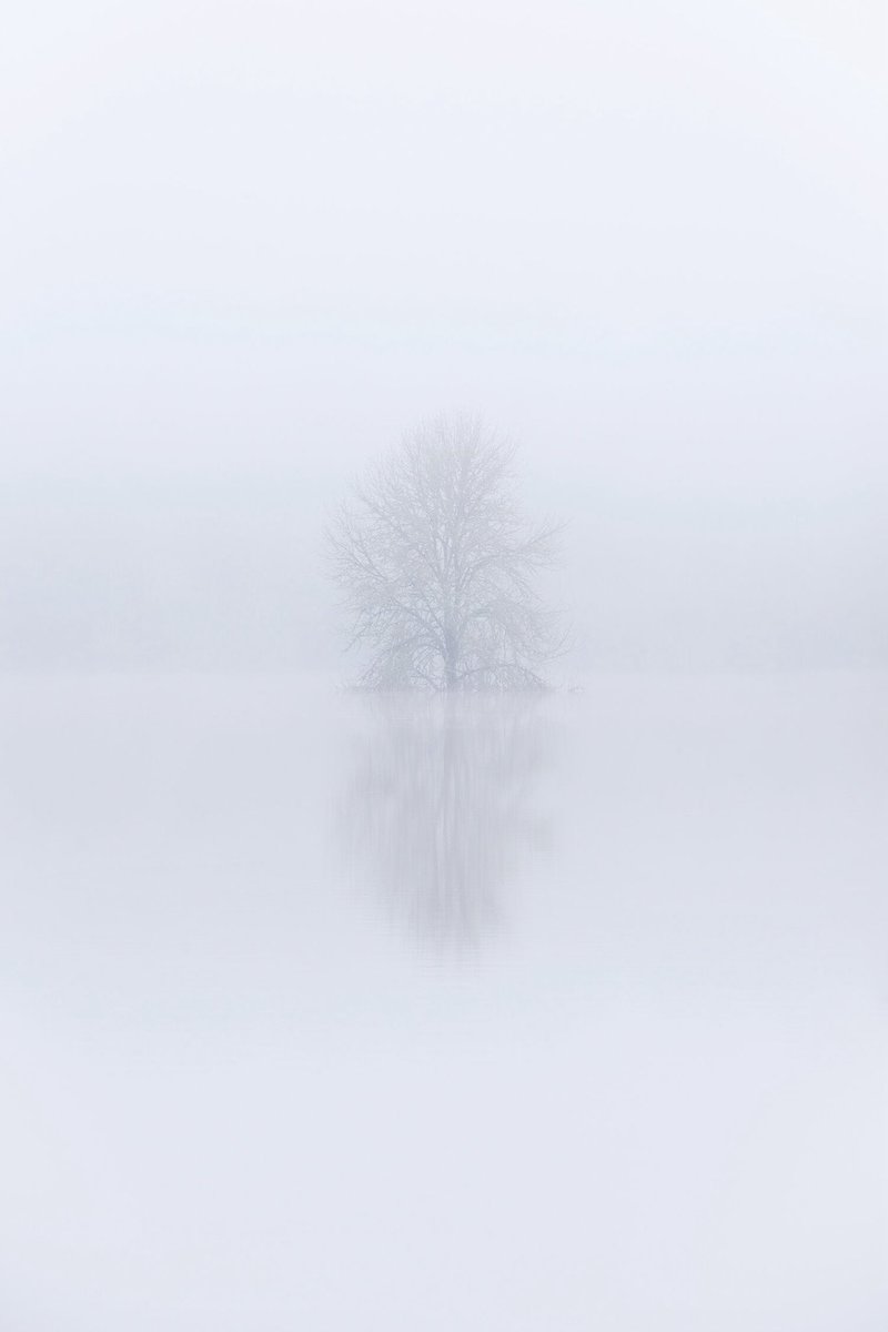 Introversion

Some days you want to cloud yourself in