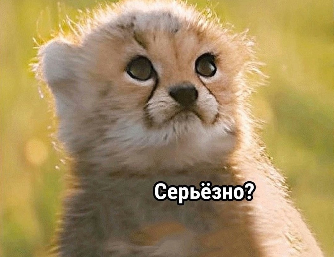 К мужу начал подкатывать гей из Колумбии и присылать свои фотки. 
Окей, гугл. Как соперничать с крутизной колумбийских геев, когда ты хомяк