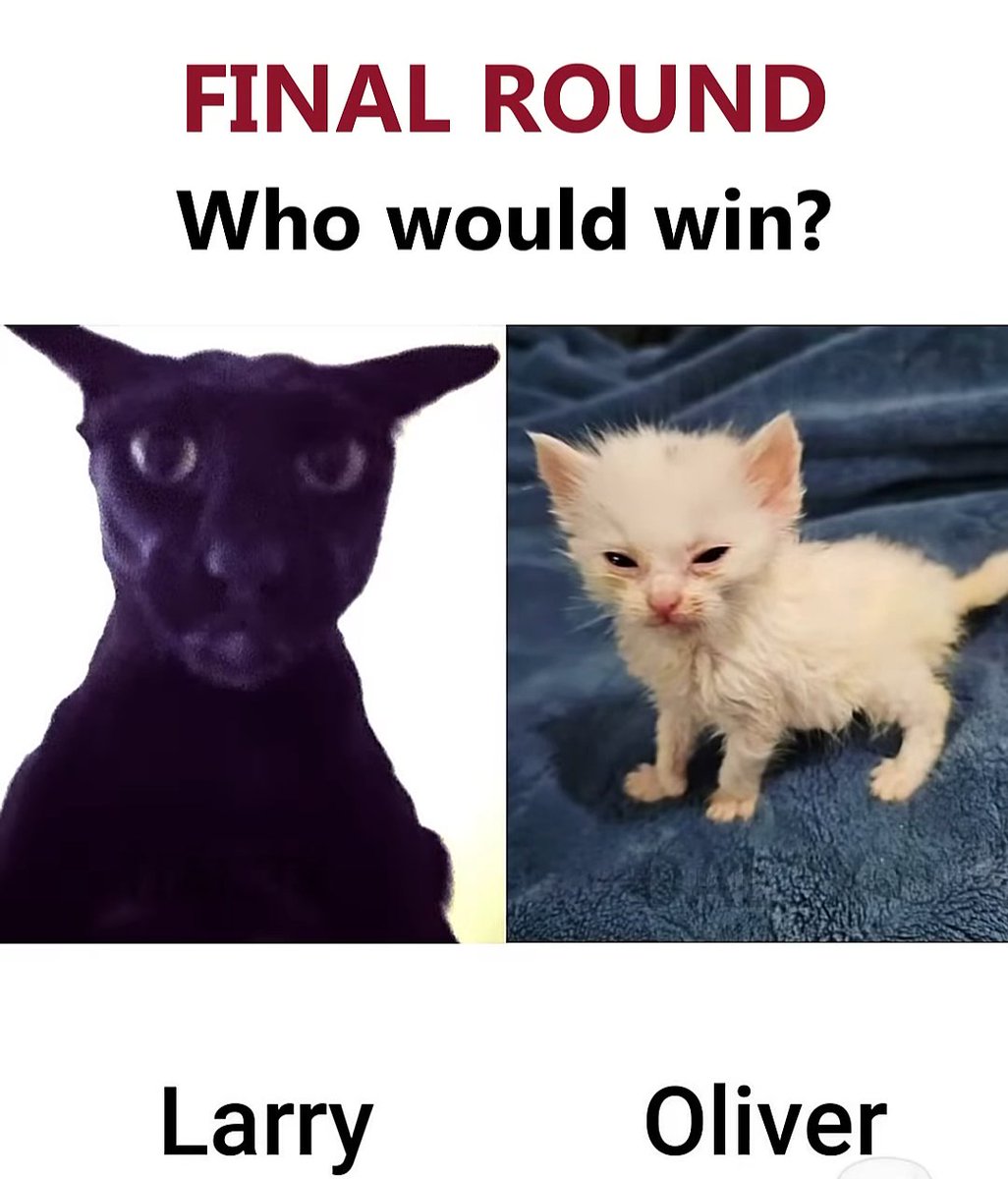 Ast (@astaxol) on Twitter photo ' '