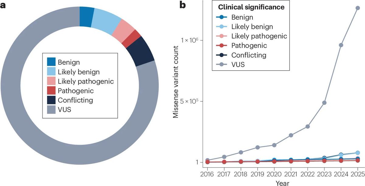 jsantoyo's tweet photo. Multiplexed assays of variant effect for clinical variant interpretation. #VariantInterpretation #VariantEffect #Genetics @NatureRevGenet 
https://t.co/nxr69dDNDR https://t.co/YEzuELaZ2C
