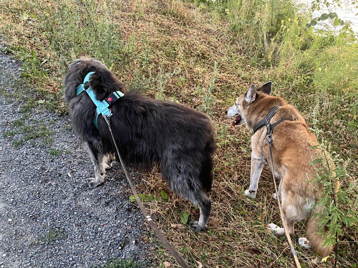 Hyvät yöt Tampereelta☀️

#heinäkuu2025