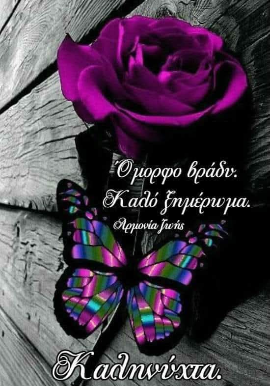 georgioskallia3's tweet image. 