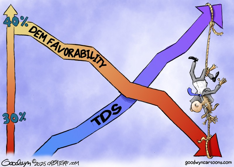 Vic Porcelli (@yovic7) on Twitter photo 