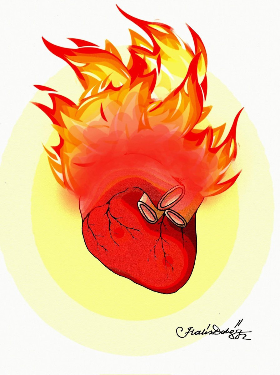 Ormanlar yanıyor… Yüreğimiz yanıyor…