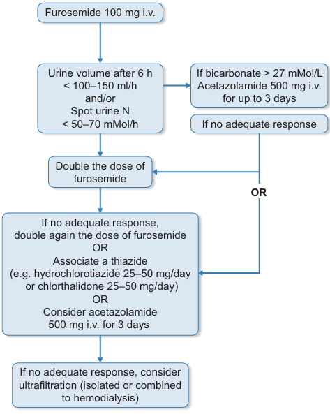 🆕 Descongestión en pacientes con enfermedad renal crónica avanzada coexistente con insuficiencia cardiaca.

📕 Clin Kidney J
🔓 Resumen del artículo en  cardioteca.com/insuficiencia-…