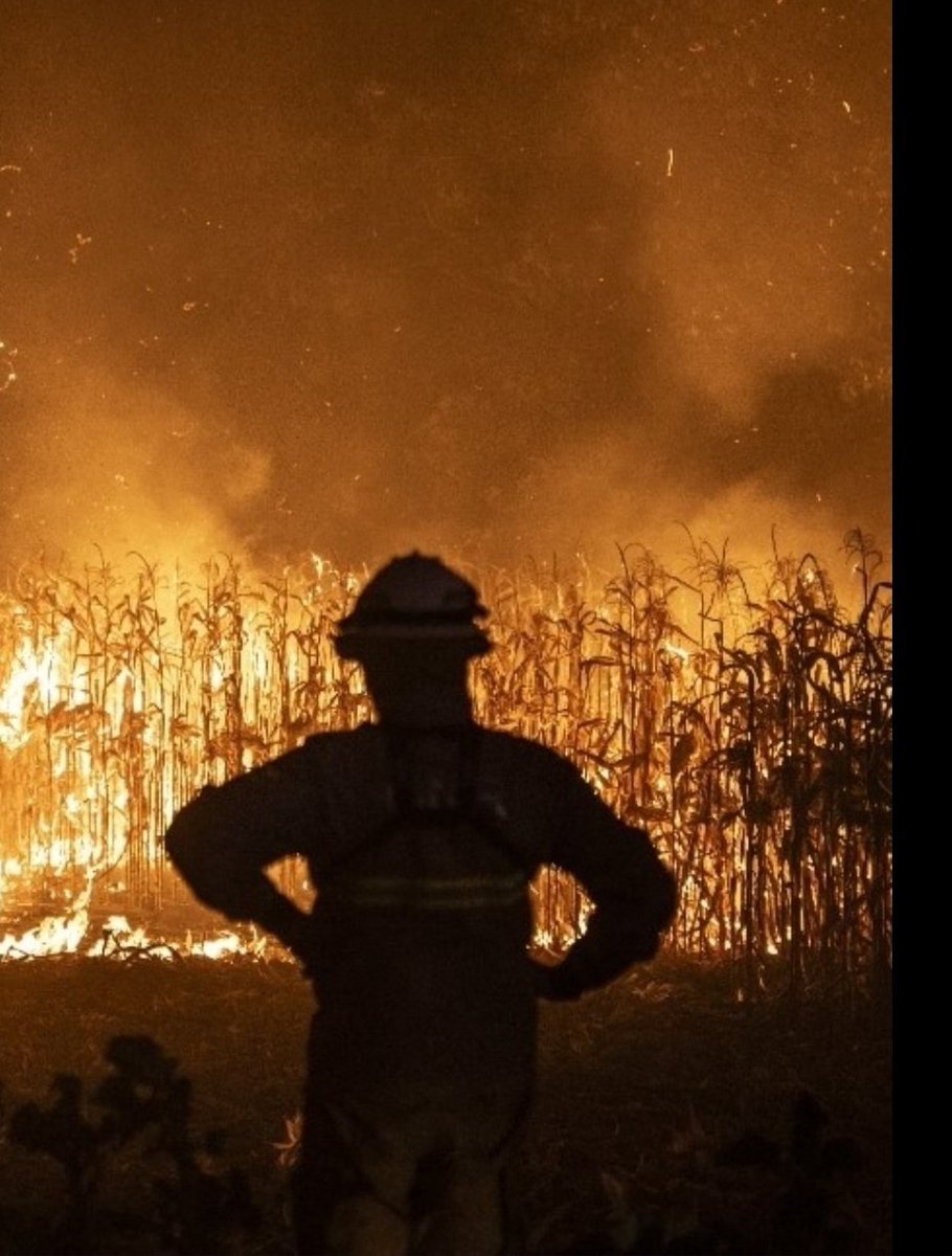 Uma mensagem de força, coragem e cuidado para todos os bombeiros e demais operacionais que enfrentem novamente dias difíceis no combate aos incêndios em PT 🇵🇹