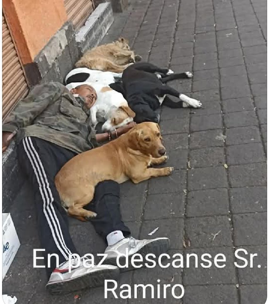 Abogado Animalista (@licanimalista) on Twitter photo No olvidemos a los perritos del Señor Ramiro que buscan un hogar al quedar desamparados, están por la zona del metro Garibaldi. Es importante que <a href="/ClaraBrugadaM/">Clara Brugada Molina</a> exija a todas las Alcaldías tengan ya su zona de resguardo y adopción para animales abandonados. Atención <a href="/AgatanCdmx/">Agencia de Atención Animal</a> No olvidemos a los perritos del Señor Ramiro que buscan un hogar al quedar desamparados, están por la zona del metro Garibaldi. Es importante que <a href="/ClaraBrugadaM/">Clara Brugada Molina</a> exija a todas las Alcaldías tengan ya su zona de resguardo y adopción para animales abandonados. Atención <a href="/AgatanCdmx/">Agencia de Atención Animal</a>