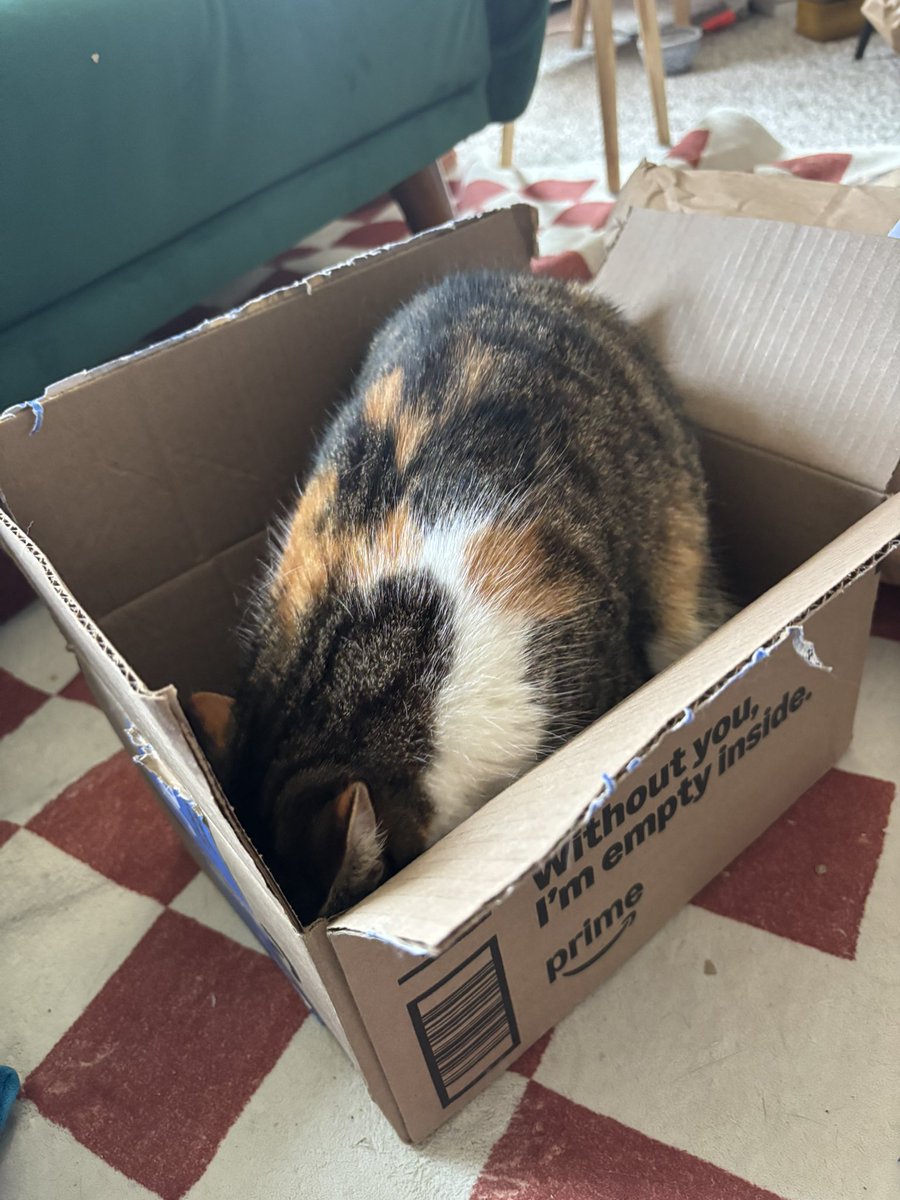 blossumupdate's tweet image. Blossum is playing her favorite game which is pretend to be a groundhog