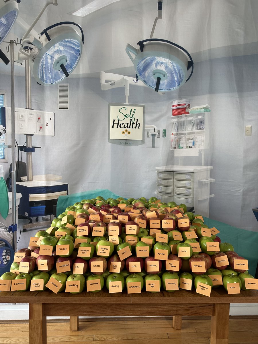 themedtechdoc's tweet photo. 🍏 “An apple a day…” No better way to celebrate our 1000th user than with 1000 apples, each labeled with one of our new users' chief complaints.

Proud of this scrappy marketing team. In just 7 days, a doctor turned content creator, two engineers, and four college interns racked up hundreds of thousands of views across TikTok, Instagram, X, and YouTube… and delivered SelfDDX its first 1000 users, all on a bootstrapped budget.