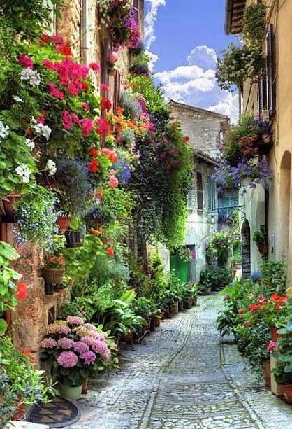 ꒰ ͜͡➸ 🔴 A̫̫L̫̫E̫̫S̫̫X̫̫I̫̫A̫̫ ꒰ ͜͡➸🔴 (@_alesxia) on Twitter photo #P_PTi 🅰️
<a href="/MNPTi1/">𝗠𝘂𝗻𝘀𝗶𝗳 🫶 ابوسلم ≛⃝🔶</a> <a href="/NM1k_/">༺ 💎𒆜𝑵𝑬𝑬𝑵𝑨𝑯𒆜💎 ༻</a>
<a href="/Y22NY/">YASEEN</a> <a href="/As40t/">𝐀 𝐒𝐚𝐭𝐭𝐚𝐫</a>
<a href="/Ir3t_/">Irfan Zdeb 🚘</a>
<a href="/IAIT_/">Talat Iqbal</a>
<a href="/IAIJ1_/">Javed Iqbal</a>
<a href="/skiii7i/">S khan</a>
<a href="/NM2k__/">ıllıllı 🌸 N͙E͙E͙N͙A͙H͙ 🌸 ıllıllı</a>
<a href="/P_PTi3/">𝐌_𝐏𝐭𝐢 _🆇 𝐏𝐑𝐎𝐌𝐎𝐓𝐄𝐑</a>
<a href="/P_PTi4/">Nosheen Aurangzaib</a>
<a href="/ksad_3/">K. Saad 🇵🇰</a>
<a href="/_ALESXIA/">꒰ ͜͡➸ 🔴 A̫̫L̫̫E̫̫S̫̫X̫̫I̫̫A̫̫ ꒰ ͜͡➸🔴</a>
<a href="/sam_5as/">Aslam Sameer</a>
<a href="/D_AIKO_/">⛩ AIKO ⛩</a>
<a href="/_MaryEly_/">💛 𑜞᭄ MaryEly🌻</a>
<a href="/Sc2017W/">SC2017</a>
<a href="/zubm9231/">ZUBAIR Muhammad</a>
<a href="/S2_CarlaS2/">꧁༺Carla༻꧂#EliFriends━★✼☆</a>
<a href="/HalconaUFF/">♥️Elena Amelia M ♥️#𝔻𝕖𝕁𝕒𝕡𝕠𝕟𝔸𝕣𝕚𝕘𝕒𝕥𝕠🌸</a>
<a href="/2015Suheyla/">Süheyla</a>
<a href="/Venus__2023/">Venus</a>
<a href="/RosaNegra008/">#ℑ𝔫𝔪𝔞 🌹🖤</a>
<a href="/Owais_khan619/">Owais_khan619</a>
<a href="/PTIJAPANNNNN/">PTI JAPAN🇵🇸❤️#804</a>
<a href="/KamranA17555180/">ISF Sindh Official 🇧🇫</a>
<a href="/NM3k_/">⚛★ 🎀 𝒩𝐸𝐸𝒩𝒜𝐻 🎀 ★⚛</a> #P_PTi 🅰️
<a href="/MNPTi1/">𝗠𝘂𝗻𝘀𝗶𝗳 🫶 ابوسلم ≛⃝🔶</a> <a href="/NM1k_/">༺ 💎𒆜𝑵𝑬𝑬𝑵𝑨𝑯𒆜💎 ༻</a>
<a href="/Y22NY/">YASEEN</a> <a href="/As40t/">𝐀 𝐒𝐚𝐭𝐭𝐚𝐫</a>
<a href="/Ir3t_/">Irfan Zdeb 🚘</a>
<a href="/IAIT_/">Talat Iqbal</a>
<a href="/IAIJ1_/">Javed Iqbal</a>
<a href="/skiii7i/">S khan</a>
<a href="/NM2k__/">ıllıllı 🌸 N͙E͙E͙N͙A͙H͙ 🌸 ıllıllı</a>
<a href="/P_PTi3/">𝐌_𝐏𝐭𝐢 _🆇 𝐏𝐑𝐎𝐌𝐎𝐓𝐄𝐑</a>
<a href="/P_PTi4/">Nosheen Aurangzaib</a>
<a href="/ksad_3/">K. Saad 🇵🇰</a>
<a href="/_ALESXIA/">꒰ ͜͡➸ 🔴 A̫̫L̫̫E̫̫S̫̫X̫̫I̫̫A̫̫ ꒰ ͜͡➸🔴</a>
<a href="/sam_5as/">Aslam Sameer</a>
<a href="/D_AIKO_/">⛩ AIKO ⛩</a>
<a href="/_MaryEly_/">💛 𑜞᭄ MaryEly🌻</a>
<a href="/Sc2017W/">SC2017</a>
<a href="/zubm9231/">ZUBAIR Muhammad</a>
<a href="/S2_CarlaS2/">꧁༺Carla༻꧂#EliFriends━★✼☆</a>
<a href="/HalconaUFF/">♥️Elena Amelia M ♥️#𝔻𝕖𝕁𝕒𝕡𝕠𝕟𝔸𝕣𝕚𝕘𝕒𝕥𝕠🌸</a>
<a href="/2015Suheyla/">Süheyla</a>
<a href="/Venus__2023/">Venus</a>
<a href="/RosaNegra008/">#ℑ𝔫𝔪𝔞 🌹🖤</a>
<a href="/Owais_khan619/">Owais_khan619</a>
<a href="/PTIJAPANNNNN/">PTI JAPAN🇵🇸❤️#804</a>
<a href="/KamranA17555180/">ISF Sindh Official 🇧🇫</a>
<a href="/NM3k_/">⚛★ 🎀 𝒩𝐸𝐸𝒩𝒜𝐻 🎀 ★⚛</a>
