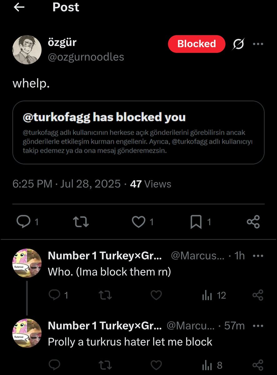 turkofagg's tweet image. I am not a turkrus/ruskey hater i ship them 😭