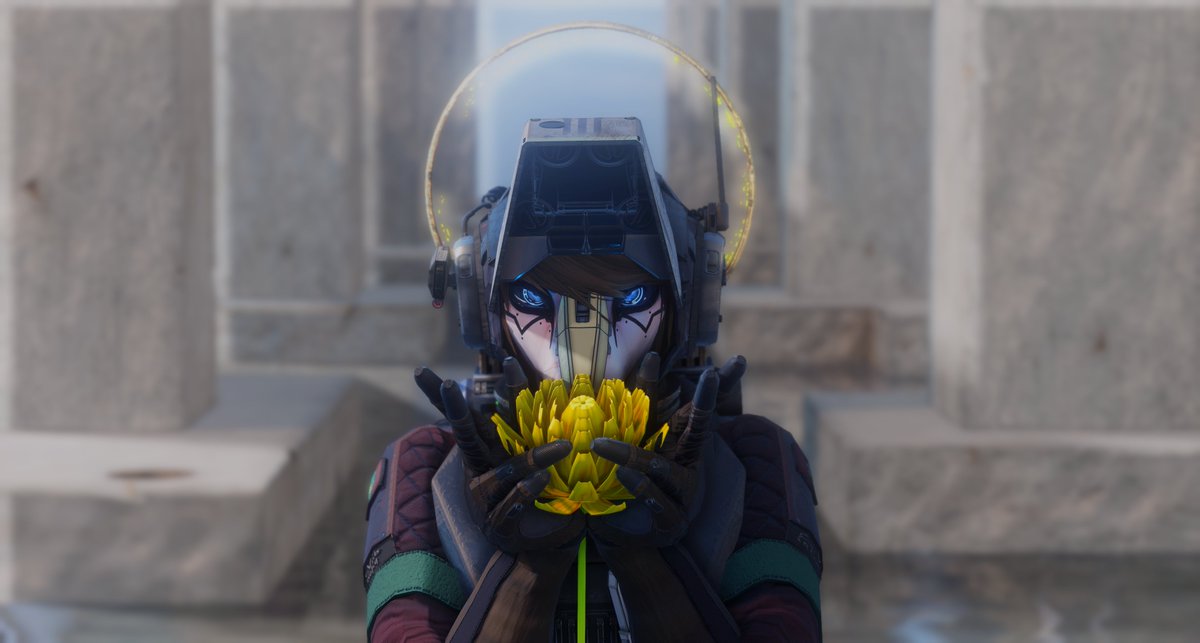 JDB_SL's tweet image. Dandelion Daybreak