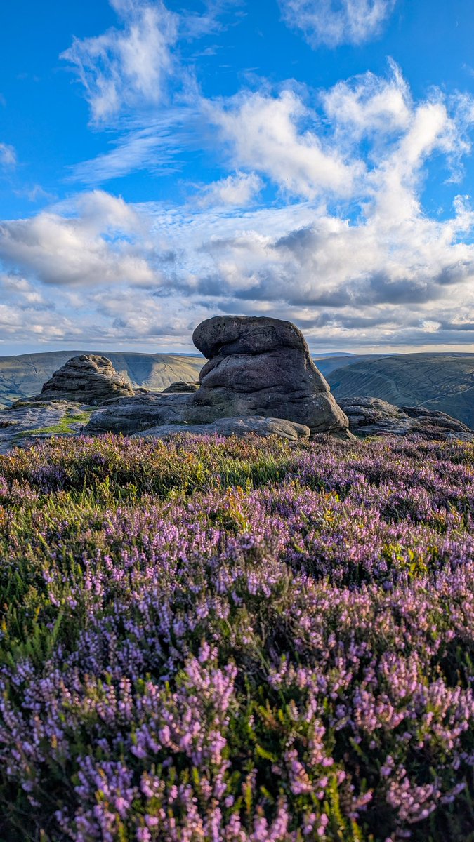 Kinder carpet 💜

#PeakDistrict