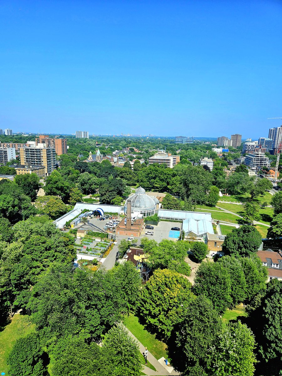 WhooHoo! Hello from hot hazy humid downtown Toronto, eh? How was everybody's day out there? I got my stuff done! All the things! Even swept! I know, right? 😅😎 Hope #MyJays, remember to win! What are you hoping for? Perhaps, cookies? ☺️🤗🇺🇲💙🍁🇨🇦🦫