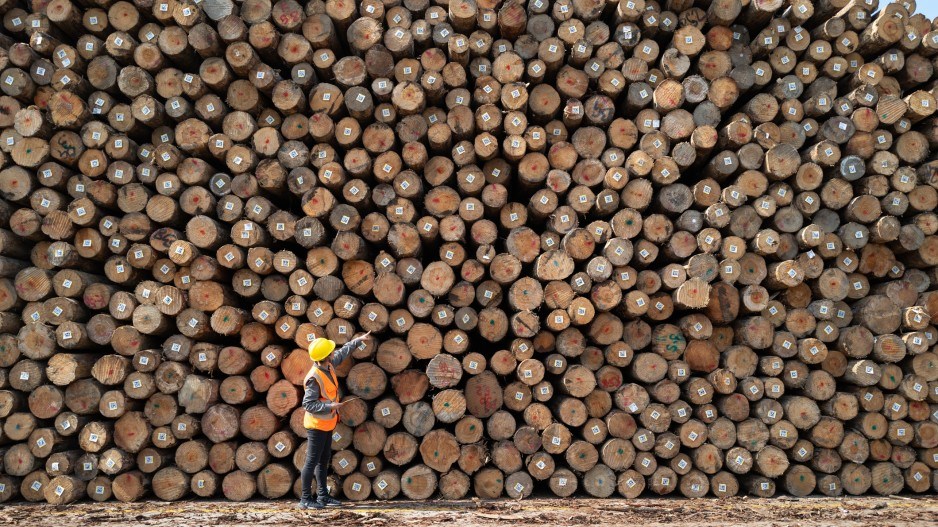 TheOrcaBC's tweet image. Rob Shaw: Years of warnings ignored as U.S. slaps B.C. forestry with punishing new duties dlvr.it/TM8vGr #bcpoli