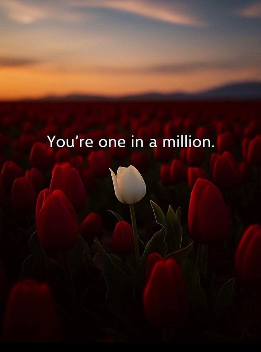 FreakyTheory's tweet image. You're one in a million.