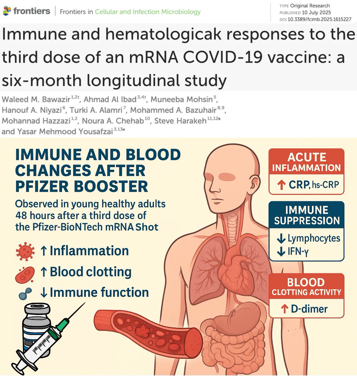 FinalBattle24's tweet image. NEW STUDY: mRNA Boosters Trigger Dangerous Immune &amp;amp; Blood Abnormalities Within 48 Hours in Healthy Young Adults
Even without symptoms, mRNA boosters trigger immune suppression, systemic inflammation, and coagulation abnormalities.
frontiersin.org/journals/cellu…