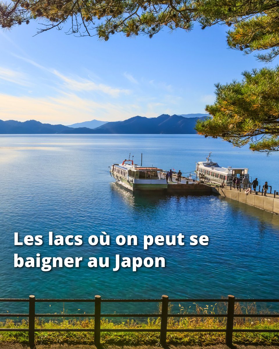 Japan Experience ✈️ tweet media