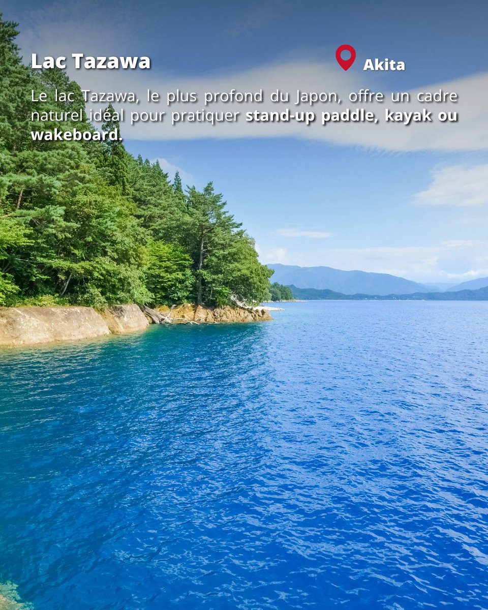 Japan Experience ✈️ tweet media