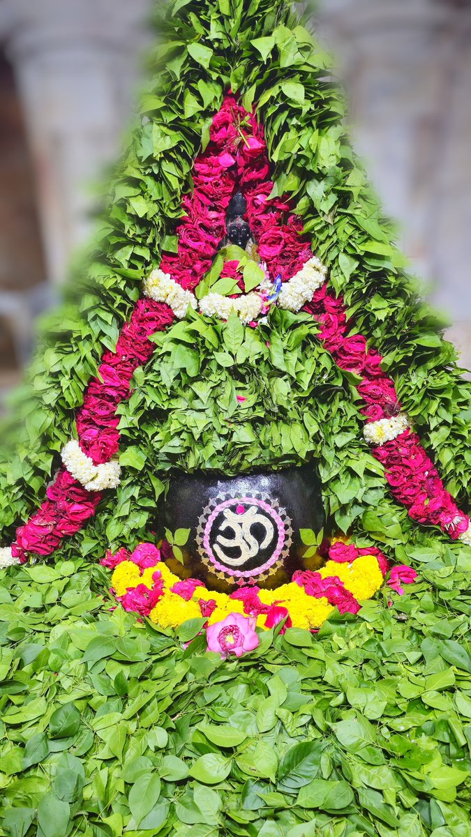 श्री अहल्याबाई मंदिर, प्रभासक्षेत्र - गुजरात (सौराष्ट्र)
दिनांकः 28 जूलाई 2025,श्रावण शुक्ल चतुर्थी(विनायक चतुर्थी) - सोमवार
सायं श्रृंगार
07254435