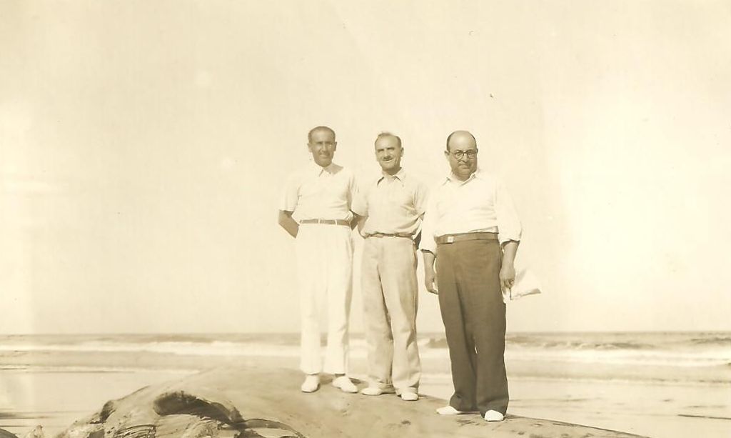 Desde la izquierda, Luiggi Picollo y Pallavidini, el administrador y uno de los dueños del #VHO hacia 1940, en el lomo de una ballena fenecida en las playas de #Ostende

(📸Archivo Pablo Picollo)