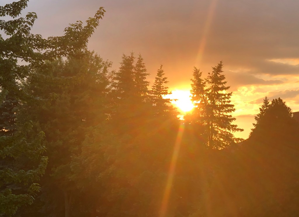 Warm start to week before return to normal levels trib.al/IraVhLD