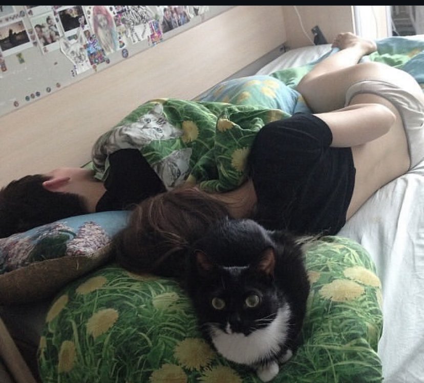 muhammed tweet media