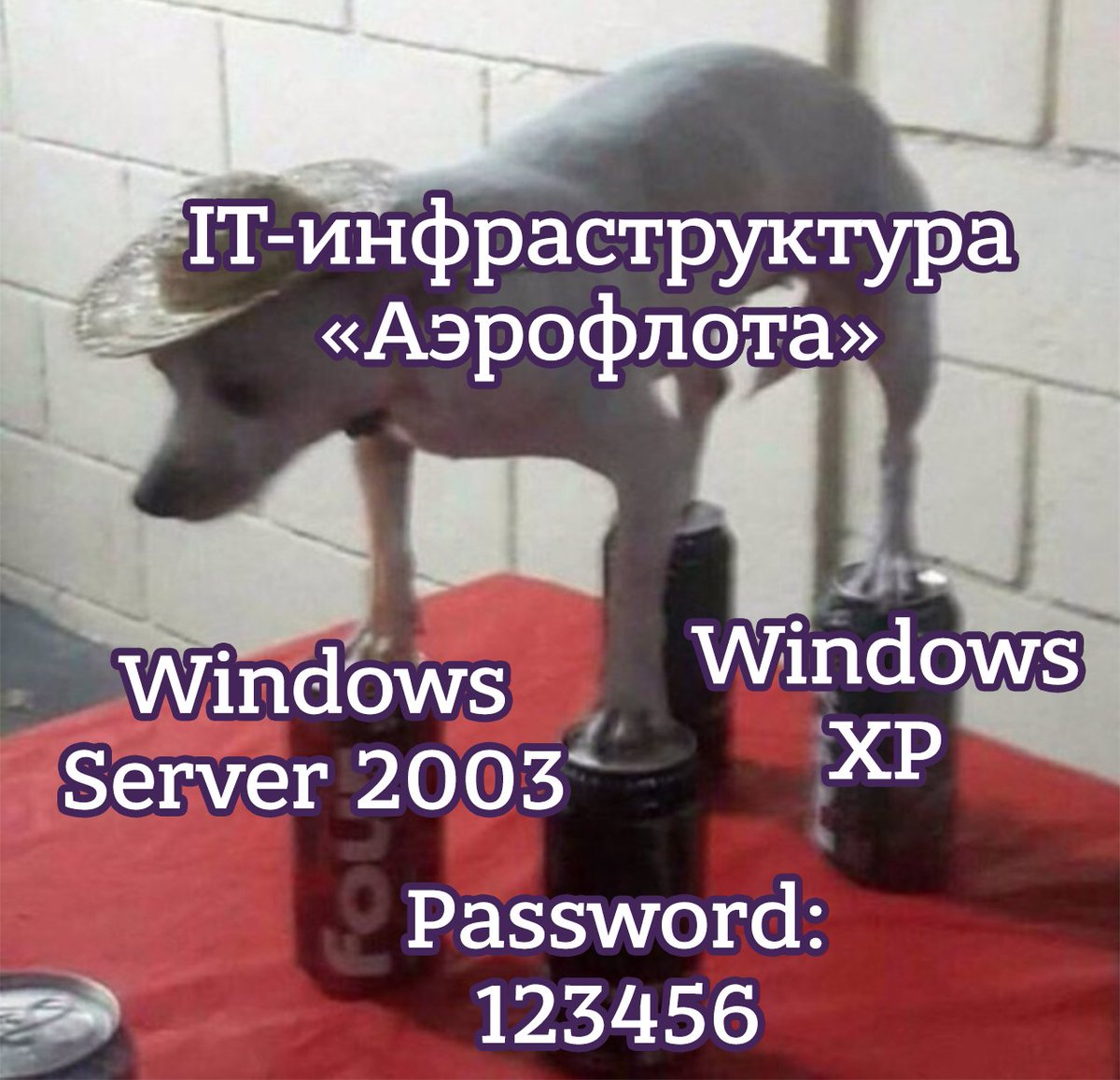 oldLentach's tweet image. Апдейты по ситуации с «Аэрофлотом»:

▪️ «Киберпартизаны» заявили, что сотрудники компании пользуются Windows XP и Windows Server 2003, «что привело к компрометации всей их инфраструктуры»;

▪️ Также сотрудники не соблюдали элементарные меры кибербезопасности. Так, гендиректор…