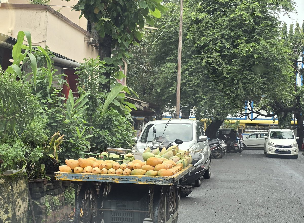 परप्रांतीयांच्या हातगाड्यांवर चालतोय महापालिकेचा कारभार ! 
प्रभाग अधिकारी, पर्यवेक्षक यांच्या हफ्तेखोरीने हातगाड्या व नारळपाणीवाले खुलेआम रस्त्यावर 
  रायगडचा भूमिपुत्र / प्रतिनिधी 
पनवेल महापालिकेच्या प्रभाग समिती अधिकारी व अतिक्रमण विभागाच्या कर्मचाऱ्यांना सध्या भिकेचे डोहाळे