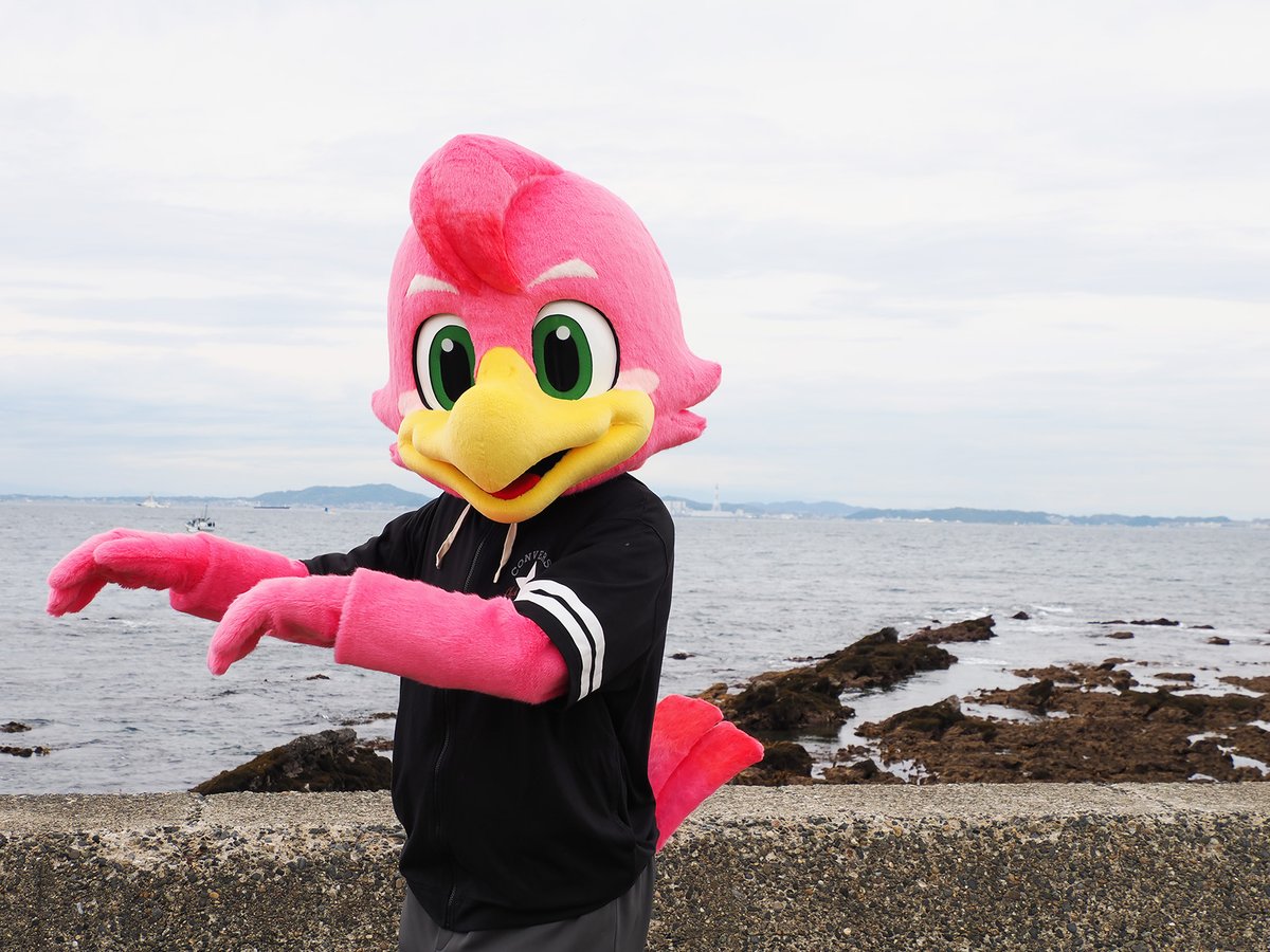 おはよう〜☀️
海沿いは風が吹いてて涼しかったりするのかなぁ！？