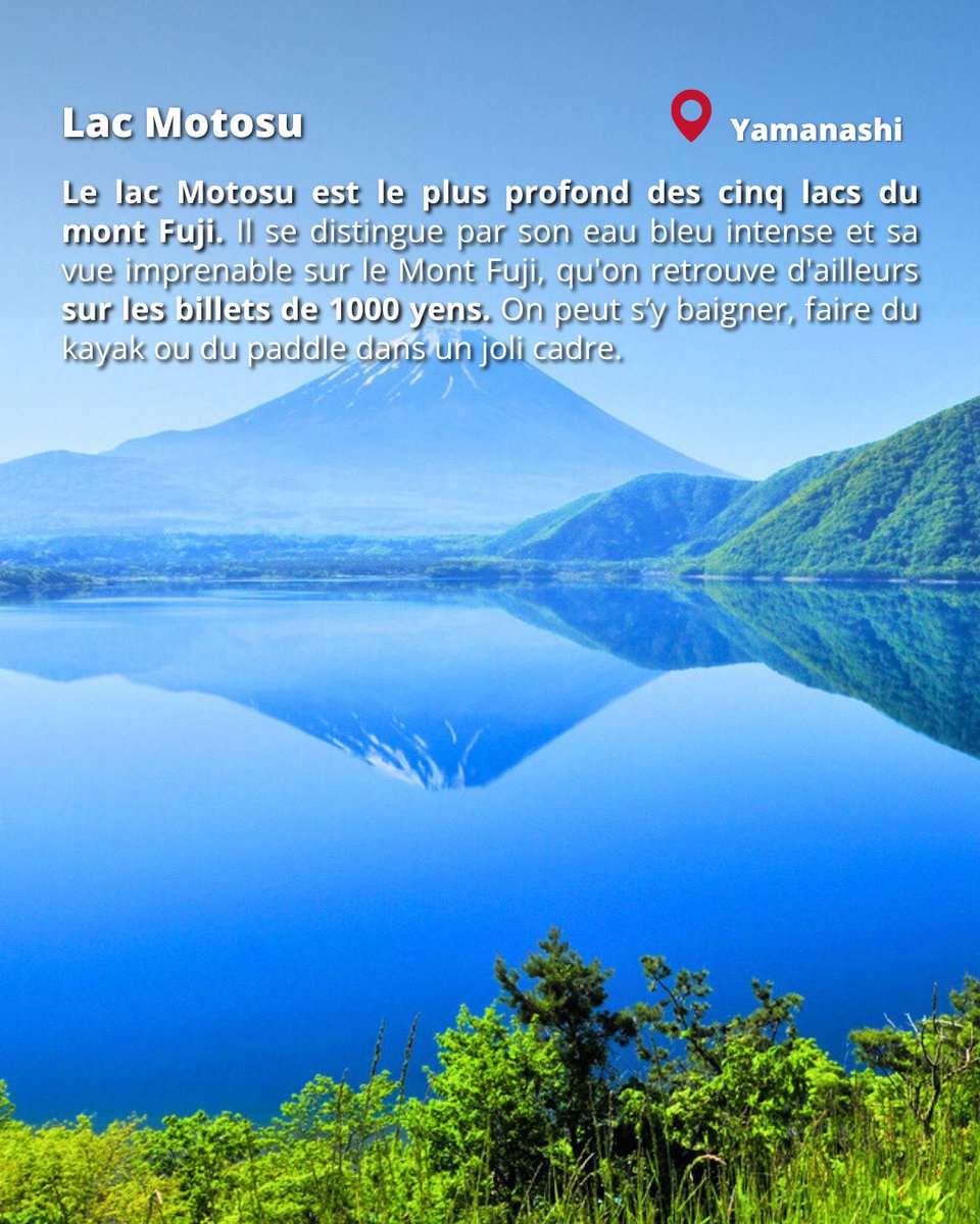 Japan Experience ✈️ tweet media